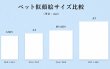 画像5: ペット似顔絵  リアルコース (5)