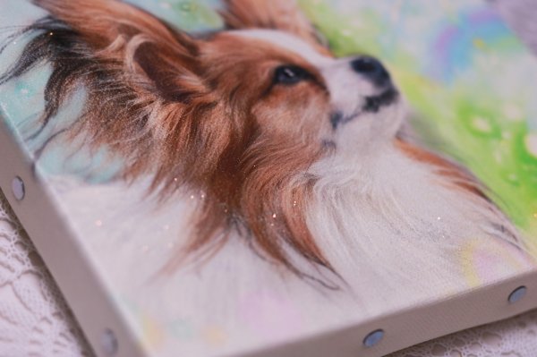 画像3: プレミアム   ペットアート 新発売記念｜期間限定 50%OFF 【送料無料】 (3)