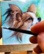 画像5: プレミアム   ペットアート 新発売記念｜期間限定 50%OFF 【送料無料】 (5)