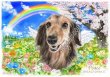 画像18: ペット似顔絵  リアルコース (18)