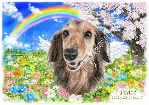 画像20: ペット似顔絵  リアルコース (20)