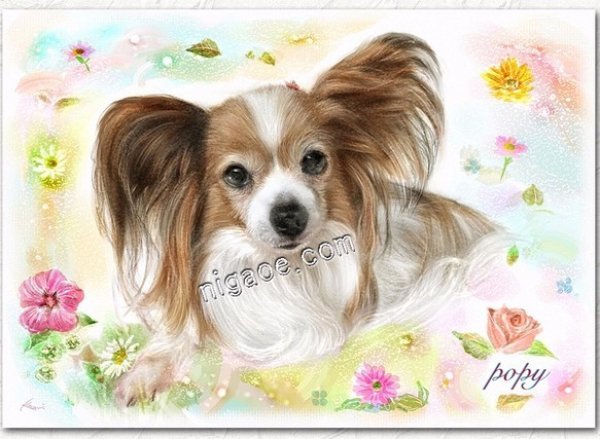 画像18: ペット似顔絵  リアルコース (18)