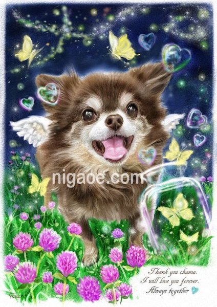 画像13: ペット似顔絵  リアルコース (13)