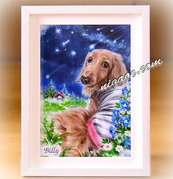 画像6: ペット似顔絵  リアルコース (6)