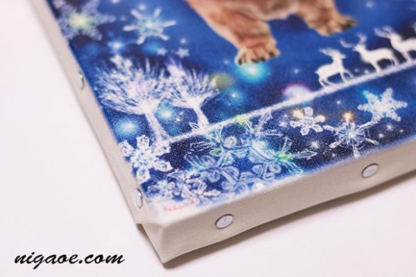 画像12: ペット似顔絵(キャンバスプリント) (12)