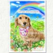 画像4: ペット似顔絵 メモリアル 2Lサイズ〜A4サイズ 送料185円 (4)
