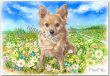 画像16: ペット似顔絵 安心チェックコース(手直し無料) (16)