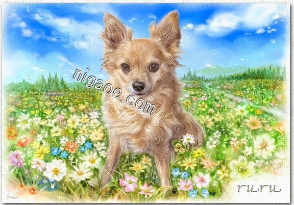 画像17: ペット似顔絵 安心チェックコース(手直し無料) (17)