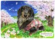 画像17: ペット似顔絵 安心チェックコース(手直し無料) (17)