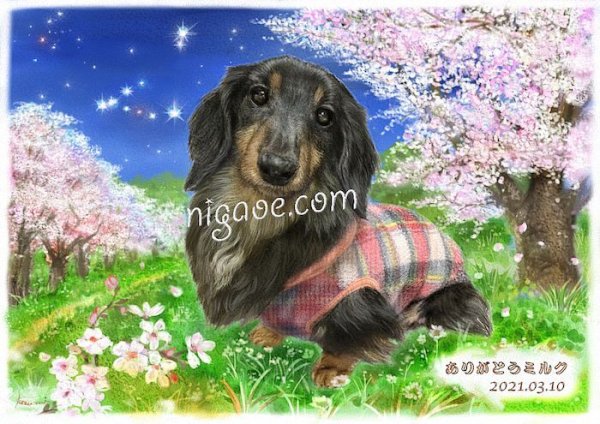 画像18: ペット似顔絵 安心チェックコース(手直し無料) (18)