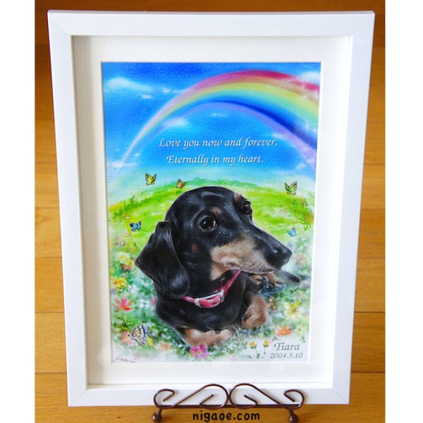 画像34: ペット似顔絵  メモリアル 虹の橋  (額入り)  (34)