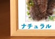 画像43: ペット似顔絵  リアルコース (43)