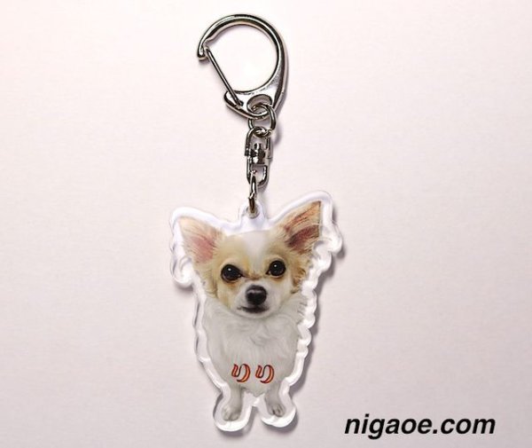 画像7: うちの子アクリルキーホルダー (7)
