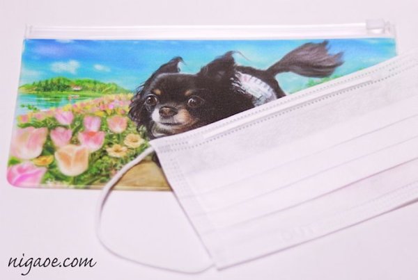 画像5: ペットちゃんの似顔絵で作るマスクケース (5)