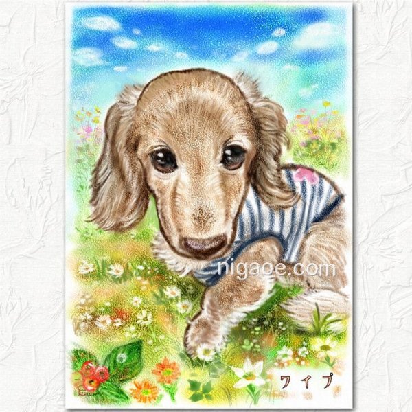 画像2: ペットの似顔絵パステルタッチコース (2)