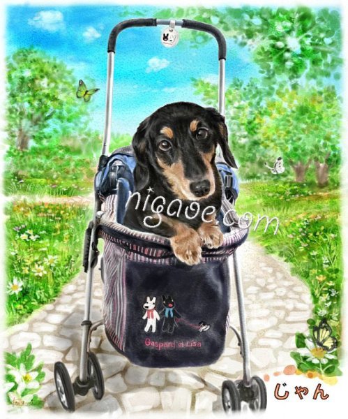 画像11: ペット似顔絵 安心チェックコース(手直し無料) (11)