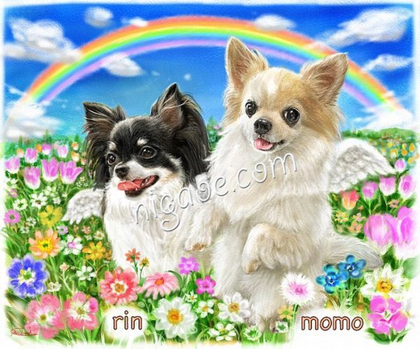 画像20: ペット似顔絵 安心チェックコース(手直し無料) (20)