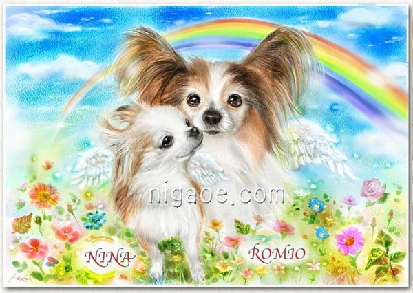 画像19: ペット似顔絵 安心チェックコース(手直し無料) (19)