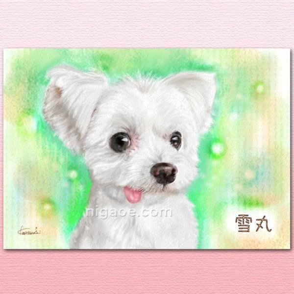 画像8: ペット似顔絵 肖像画 お顔中心 (8)