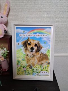 レビュー1-投稿画像2