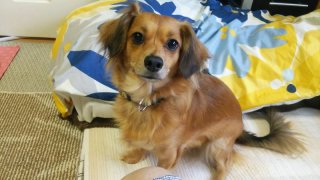 レビュー1-投稿画像1