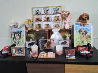 レビュー1-投稿画像3