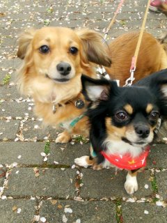 レビュー3-投稿画像3