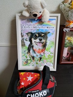 レビュー3-投稿画像1