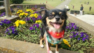 レビュー3-投稿画像2