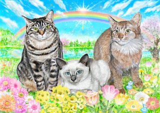 レビュー4-投稿画像2