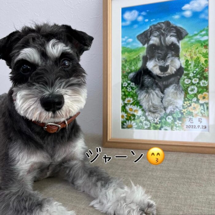 ミニチュアシュナウザー犬の似顔絵ご本人と一緒