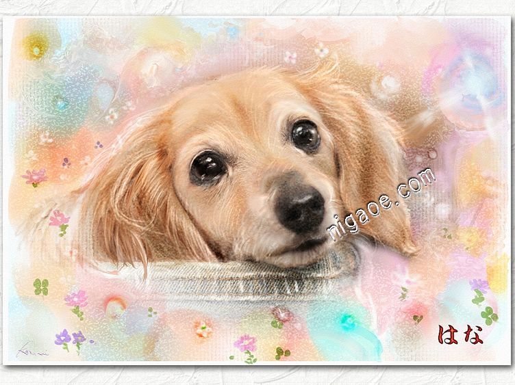 犬、猫、うさぎ等ペットの似顔絵 オーダーイラスト