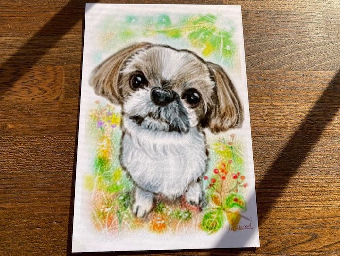 ペット似顔絵シーズー犬