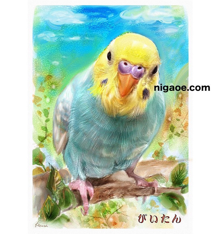 セキセイインコの似顔絵7