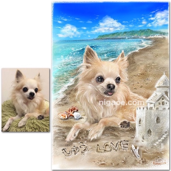 ペットの似顔絵背景海