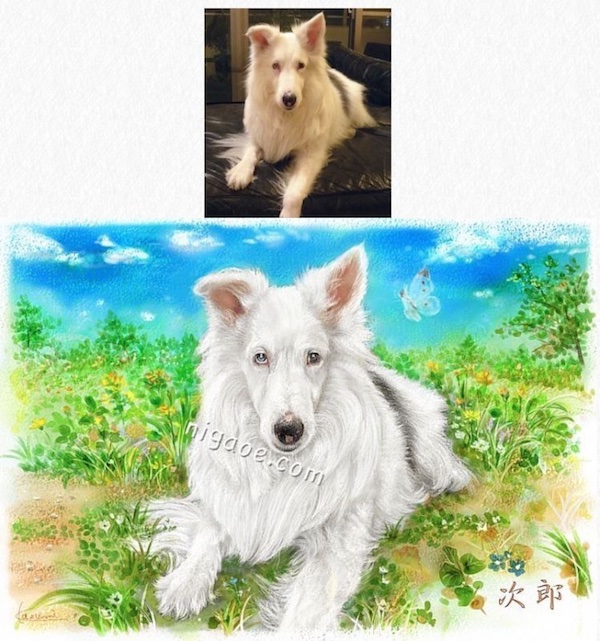 ペット似顔絵