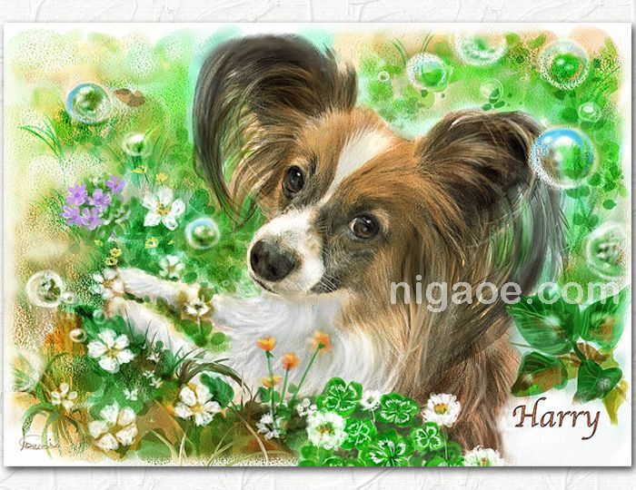 パピヨン犬の似顔絵5